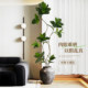 Fake green plant Bengal banyan indoor living room sofa side floor-standing potted plant ornaments decoration large advanced simulation plant