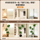 Rubber tree simulated green plant, indoor potted plant, large bionic plant, high-end light luxury living room, floor-standing ornament, fake flower tree
