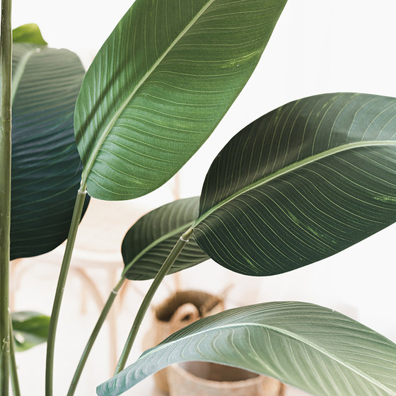 Bird of Paradise Large Nordic Indoor Decoration Simulation Plant