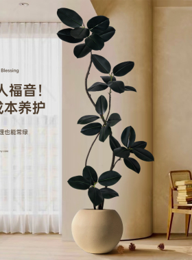 仿真绿植黑金刚橡皮树落地装饰
