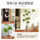 Nordic style lily, bamboo and pomelo floor-standing potted plant