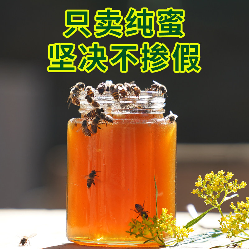 正宗纯正天然深山农家峰蜜土蜂蜜 余蜂堂蜂蜜