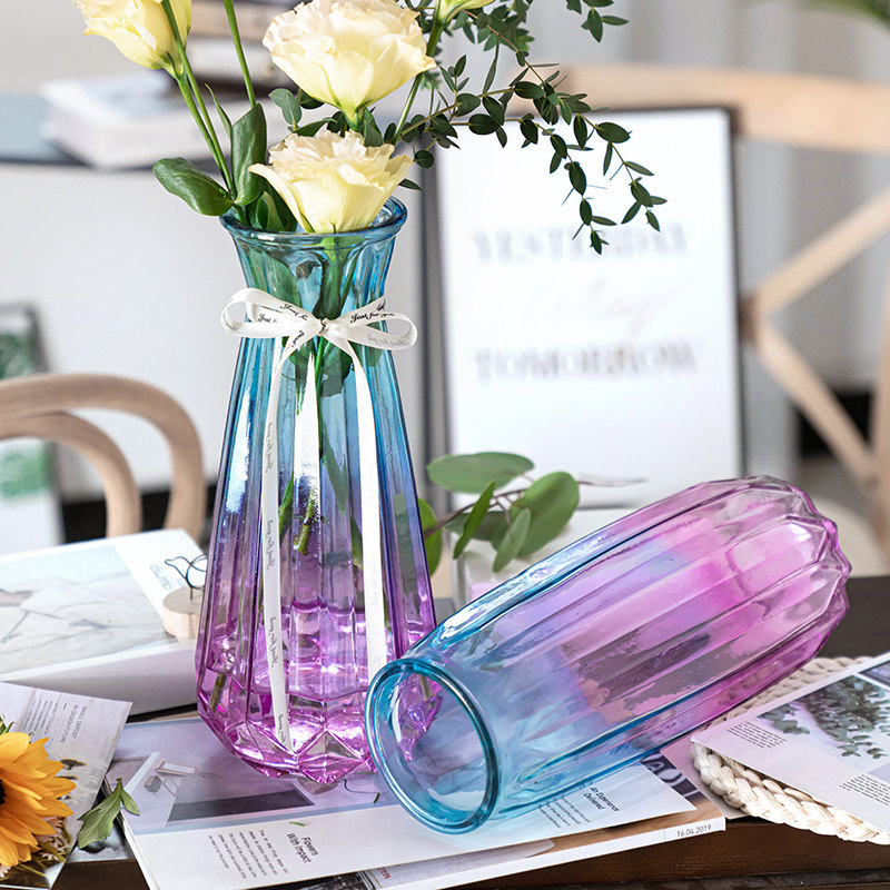 【特大号花瓶两件套】玻璃花瓶透明水养欧式插花瓶富贵竹客厅摆件,淘宝优惠券,粉丝福利购,淘宝优惠卷