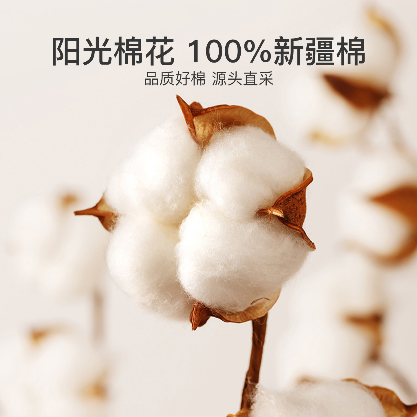 洁丽雅新疆棉花被冬季加厚被子被芯宿舍单人棉被冬被纯棉花空调被 - 图0