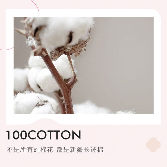 Jieliya cotton pure cotton partition dirty sleeping bag single hotel