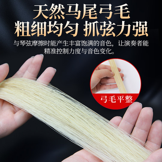 Songyinfang Erhu saluda la actuación profesional de Zhen Maweimao