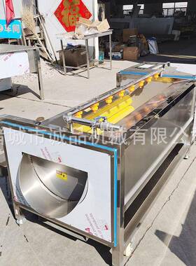商用全自动毛棍清洗机土豆洗泥机清洗根茎类果蔬材海鲜贝类