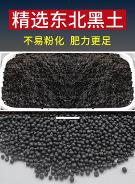 水草泥鱼缸造景底砂免洗不浑水草