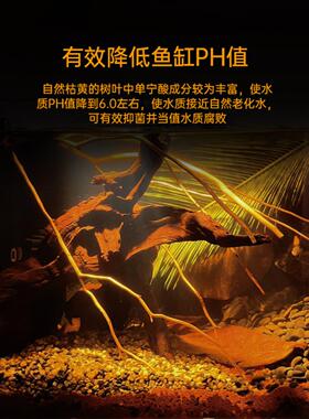 免煮榄仁叶斗鱼专用懒人降酸PH