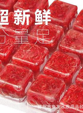 血线赤虫丰年虾冷水鱼高蛋白活虫