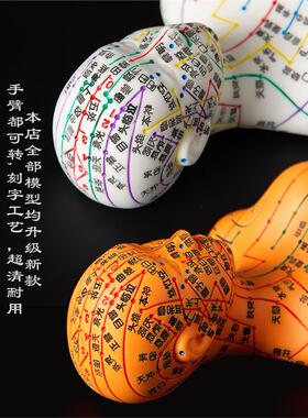 人体针灸模型人经络穴位