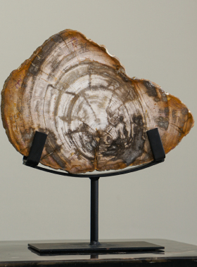 切片单杆铁艺木化石天然装饰摆件前台摆设家居软装设计玉石带底座