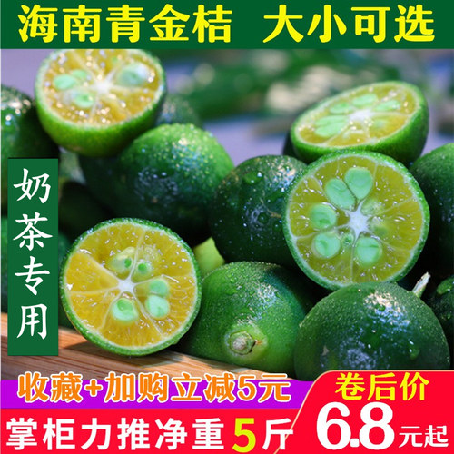 正宗海南青金桔5斤新鲜小金桔小柠檬奶茶店专用酸桔整件批发包邮 - 图0