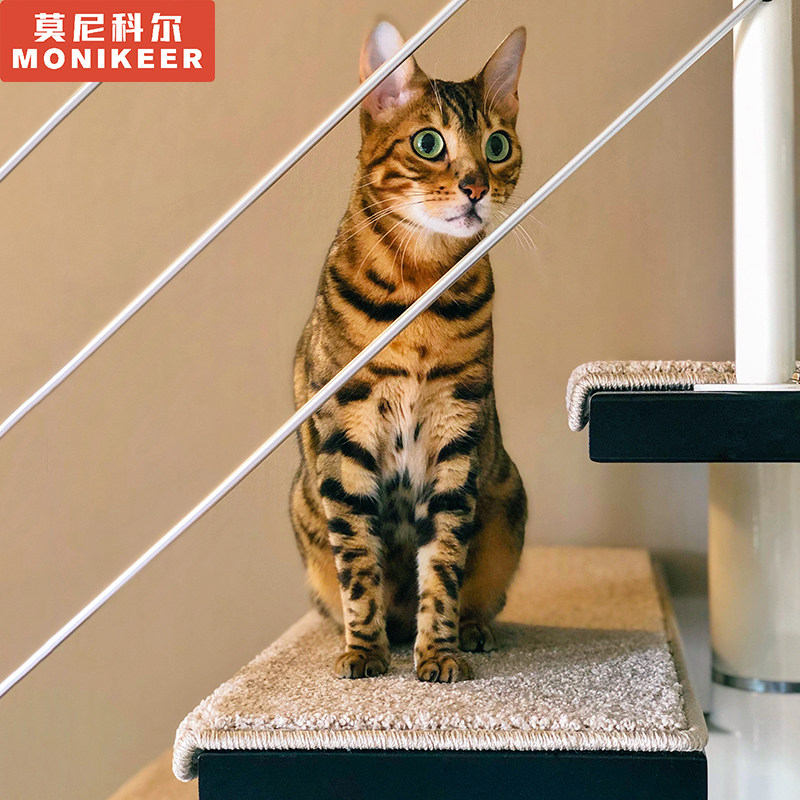 High-end thickened duplex stair step mat glue-free self-adhesive silent anti-slip stair carpet stepped stair mat