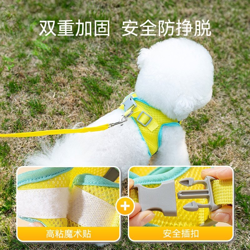网眼透气牵引带狗绳背心式遛狗猫咪外出宠物用品中小型狗狗牵引绳,淘宝优惠券,粉丝福利购,淘宝优惠卷