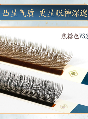 焦糖色Y型睫毛嫁接鹊杉