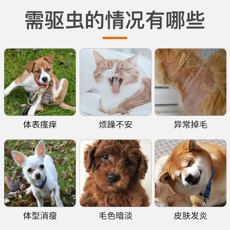 普安特猫咪狗狗体外驱虫药犬用体内外同驱一体螨虫宠物体外用滴剂 - 图3