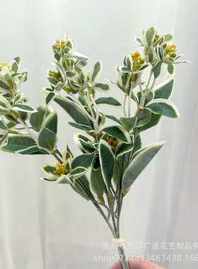 高档仿真绿植鸣子叶把束插花配草清新白绿色银边翠叶软装清新摆花