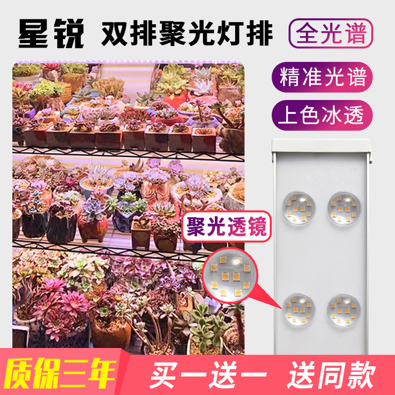 星锐多肉补光灯家用上色全光谱多肉灯植物补光灯仿太阳光室内绿植,淘宝优惠券,粉丝福利购,淘宝优惠卷