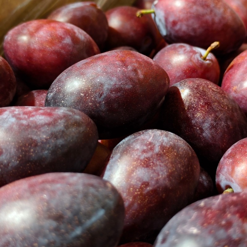 澳洲西梅5斤澳大利亚进口大西梅当季新鲜水果李子纯甜多汁包邮,淘宝优惠券,粉丝福利购,淘宝优惠卷