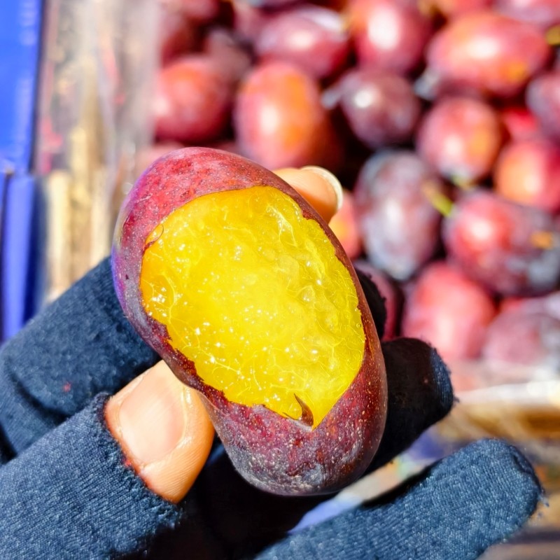 澳洲西梅5斤澳大利亚进口大西梅当季新鲜水果李子纯甜多汁包邮,淘宝优惠券,粉丝福利购,淘宝优惠卷