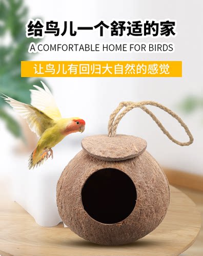 虎皮鹦鹉椰子壳鸟窝保暖木质挂窝鸟巢过冬珍珠文鸟繁殖牡丹仓鼠窝 - 图0