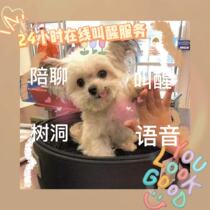 人工暖心陪聊 叫醒服务 树洞 失恋倾听 连麦聊天 调整作息