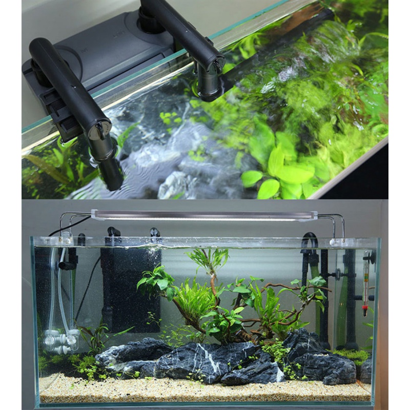 森森803过滤器水草鱼缸滤桶壁挂式水族箱外置小型泵阿浪的水族店 阿浪的水族店 淘优券