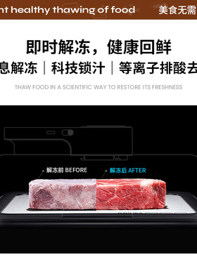 家用快速多功能牛肉解冻机化冻机