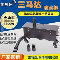 Three motors Pet blowing machine Tibetan mastiff Giant Dog Pet Shop Special ratio Double-motor Wind Wind Power Blow Wool Machine