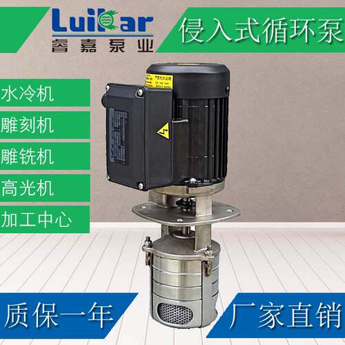 luikar睿嘉立式机床加工中心高压线切割油水泵LDPB2V-4V-30-40-60摆件饰品 - 图2