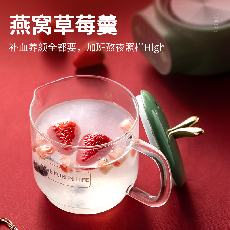 小南瓜养生杯电炖家用迷你养生壶 小南瓜朗俊养生壶/煎药壶