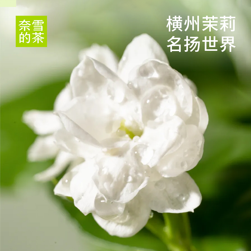 [活动]奈雪的茶 茉莉初雪茉莉花茶绿茶花茶茶叶茶包女生伴手礼物