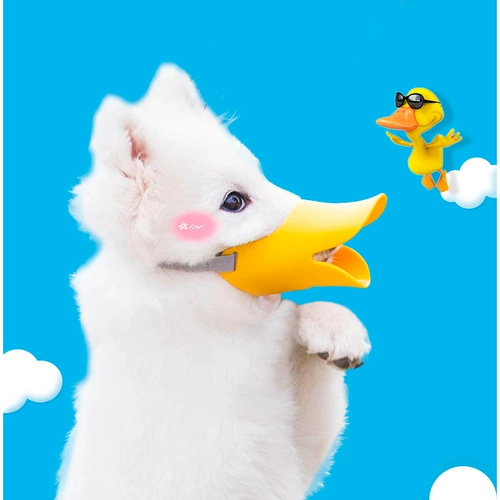 Домашние поставляют собаку Тедди Тедди сделка маленький и маленький откровенный укус Инуки