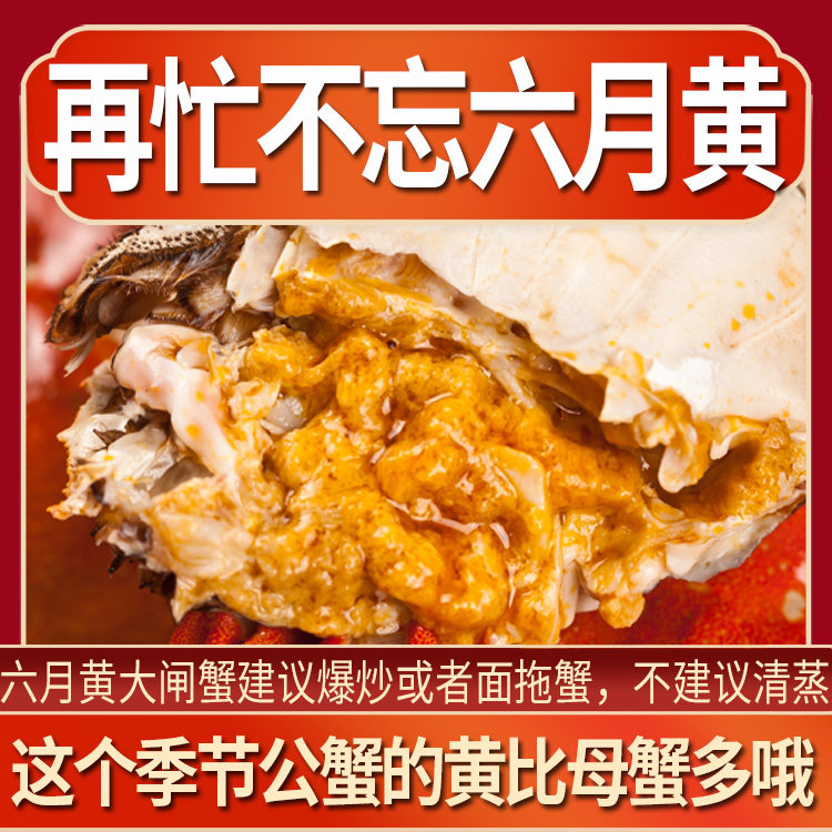 【活蟹】24只大闸蟹鲜活六月黄公母特大螃蟹现货海鲜水产河蟹礼盒