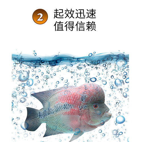 哈洁宝日本黄粉正品黄粉水族观赏鱼锦鲤鹦鹉罗汉专用非兽药鱼药 - 图0