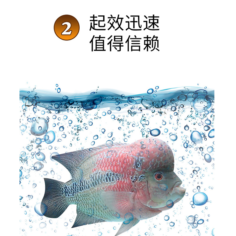 日本黄粉速溶黄粉鱼缸水族观赏鱼用非鱼药杀菌水霉烂身烂尾白点净-图0