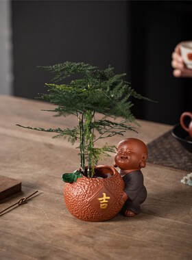 可爱小和尚文竹盆栽陶瓷水培绿植花瓶办公室桌面茶桌禅意装饰摆件