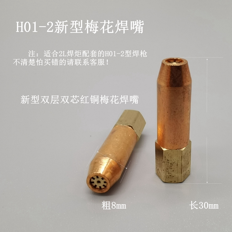 2L便携式焊枪焊咀H01-2焊炬尖嘴液化气焊割小型割枪两用割嘴配件 - 图2