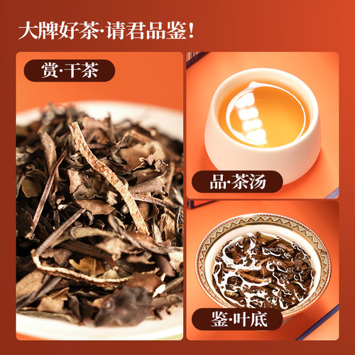 六妙白茶陈皮白茶2018年福鼎白茶新会陈皮老白茶寿眉散茶袋泡茶叶 - 图3