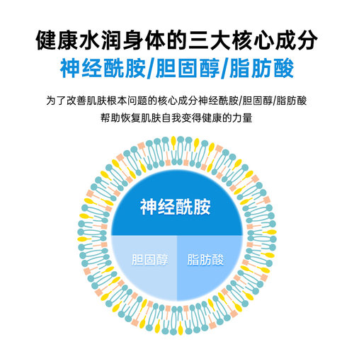 COSRX神经酰胺修护润肤霜450ml全身12层深层补水100H滋润身体乳 - 图2