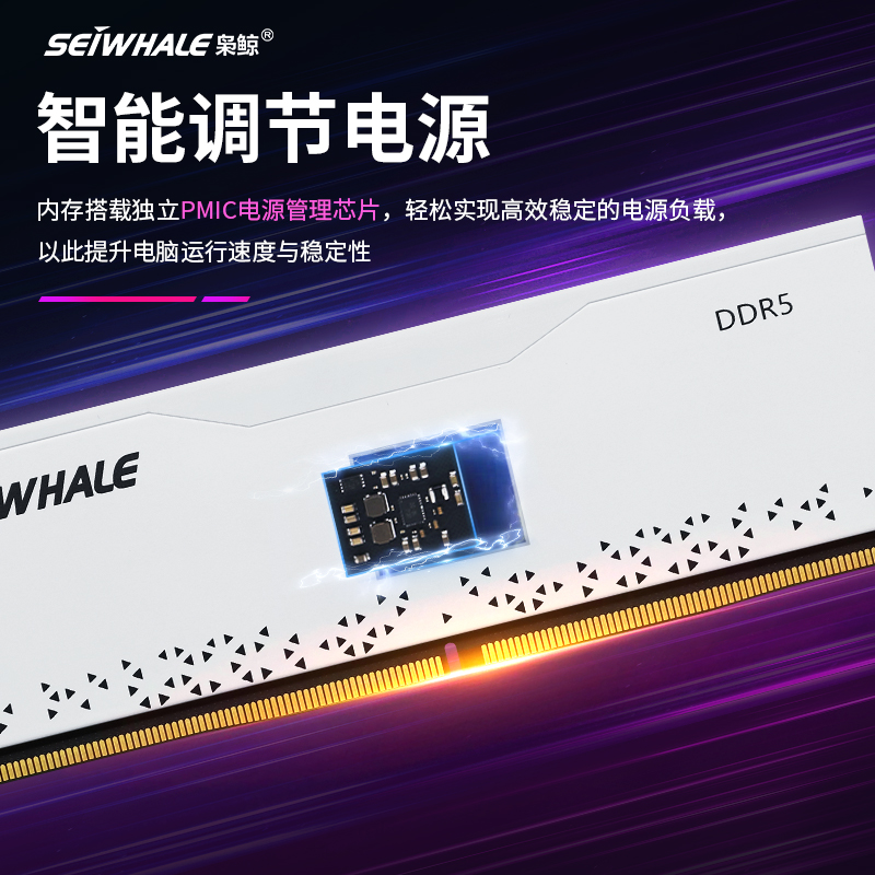 枭鲸审判者DDR5台式机内存条16G/32G/48G 5600 6000海力士6400 - 图1