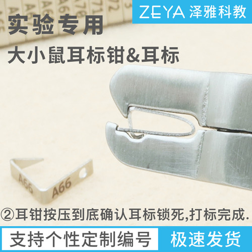 实验用 小鼠 大鼠 耳标 耳号 耳钉耳夹 单面双面 编号标记 耳标钳 - 图3