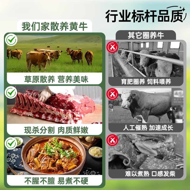 鲜切黄牛牛排骨2500g新鲜带肉整根牛肋排牛仔骨冷冻生鲜牛肉牛腩