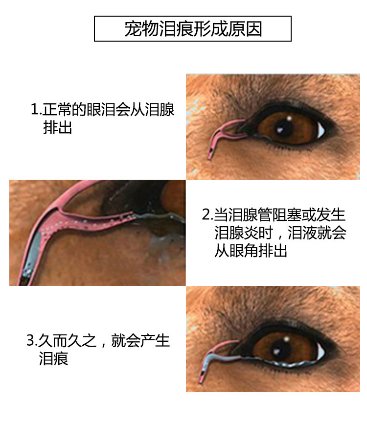 爱眼维去泪痕粉天然犬猫通用宠物加菲泰迪去泪痕泪渍泪痕消20g装 - 图1