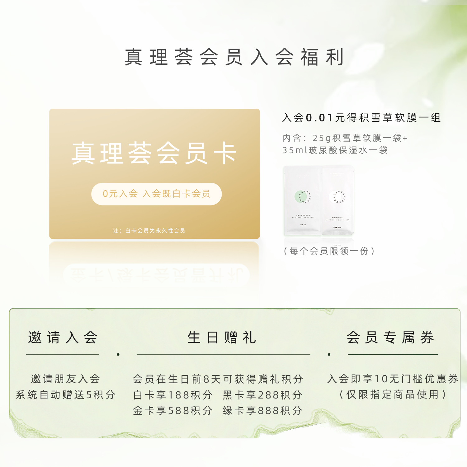 真理荟螺旋藻缓解干燥涂抹软膜粉 laveritepure涂抹面膜