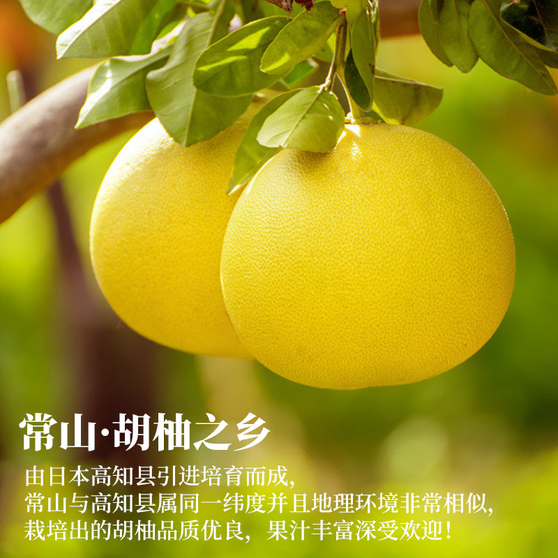  茶小冷食品蜂蜜果味茶