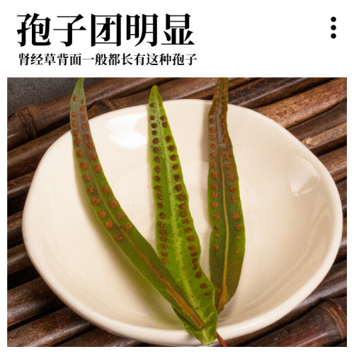 长白山黄金草肾精草泡水养生茶甄选小叶袍子多高品质干货泡水喝 - 图1