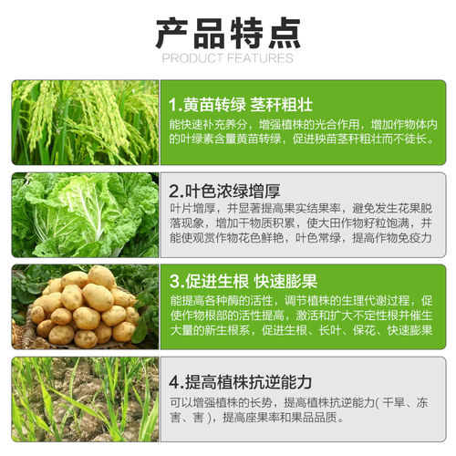 科沃华叶绿素氨基酸叶面肥提苗壮棵增绿果树蔬菜用中量元素水溶肥 - 图2