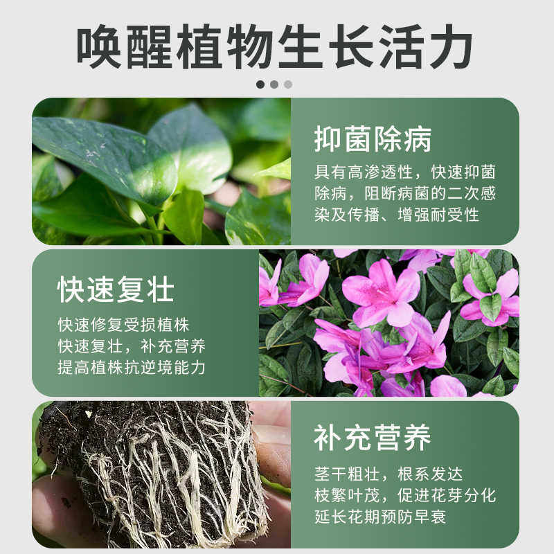 贝可施叶康灵植物病菌清抑菌免稀释营养液枯叶干尖杀菌旗舰店预防,淘宝优惠券,粉丝福利购,淘宝优惠卷